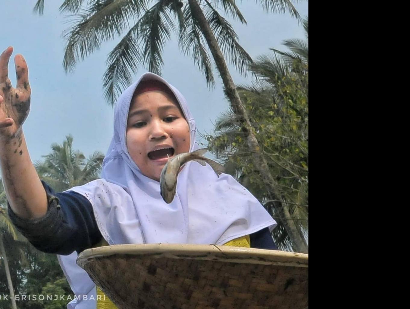 Fishing in Rice Paddies